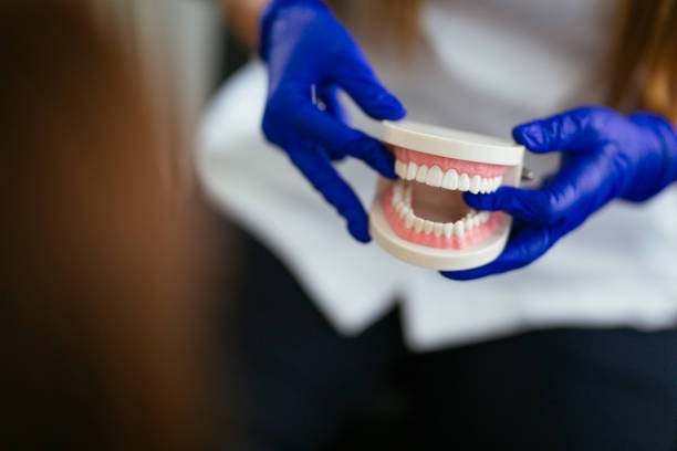 Best Dental Fillings (Composite and Amalgam)  in Minot Af, ND