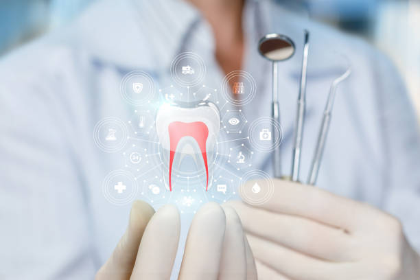 Professional Holistic Dental Care Services in Minot Af, ND